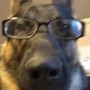soyhulian