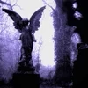 Виолетта-Сиренева
