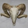 Рогатая Туча