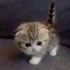 это не нужно в принцепе