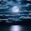 moon_light16