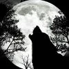Black_Shadows_itsmylife