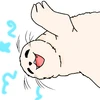 Seal Happy