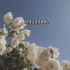 Insebastion