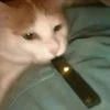 Ккнги к вашим услугам