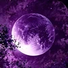 Under the Violet Moon