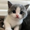 БожеКакЯЛюблюДаниззку