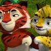 Leo and Tig