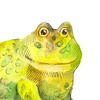 Sunfrogg