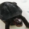 семпай из твоих мечт