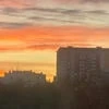 liberezz
