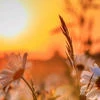 Shurik_27