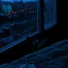 ЧайныйЗаяц2808