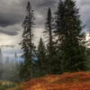 the_last_september