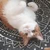 Проказница Судьба