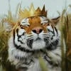 Tiger Hooligan