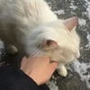 сонечка пипенцева