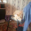 Ника2010