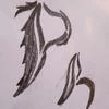 PhAntom AN