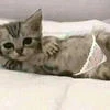 Полина Клизма