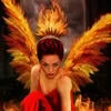 _Fenix_2022_