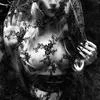 _just the witch_