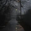 NightNoise