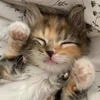 Iloveyou.com