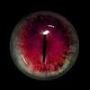 Horror_Quiet