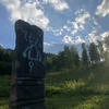 Слюна Желтопузика