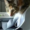 Летописец ХФ