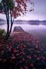Winter_Erionita