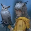 _owl_Rey_