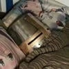 Лягушки живут вечно
