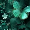 Milana13_...