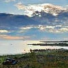 Шусеви