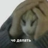Tip_norm