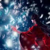 Любитель серебряных бабочек