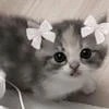 1marishka1