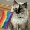 никотиновая зависимость.