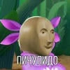 Любитель мемасиков
