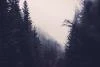 Uzrail_