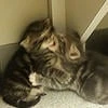 отверженная обществом.