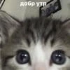 Сашка Громч