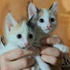 Кишинев