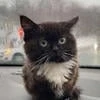 Темная Сторона