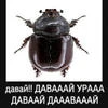 sh3by