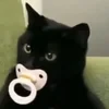 Хиггс Свон