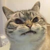 _LINX_