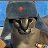 Алексей Рекрутин